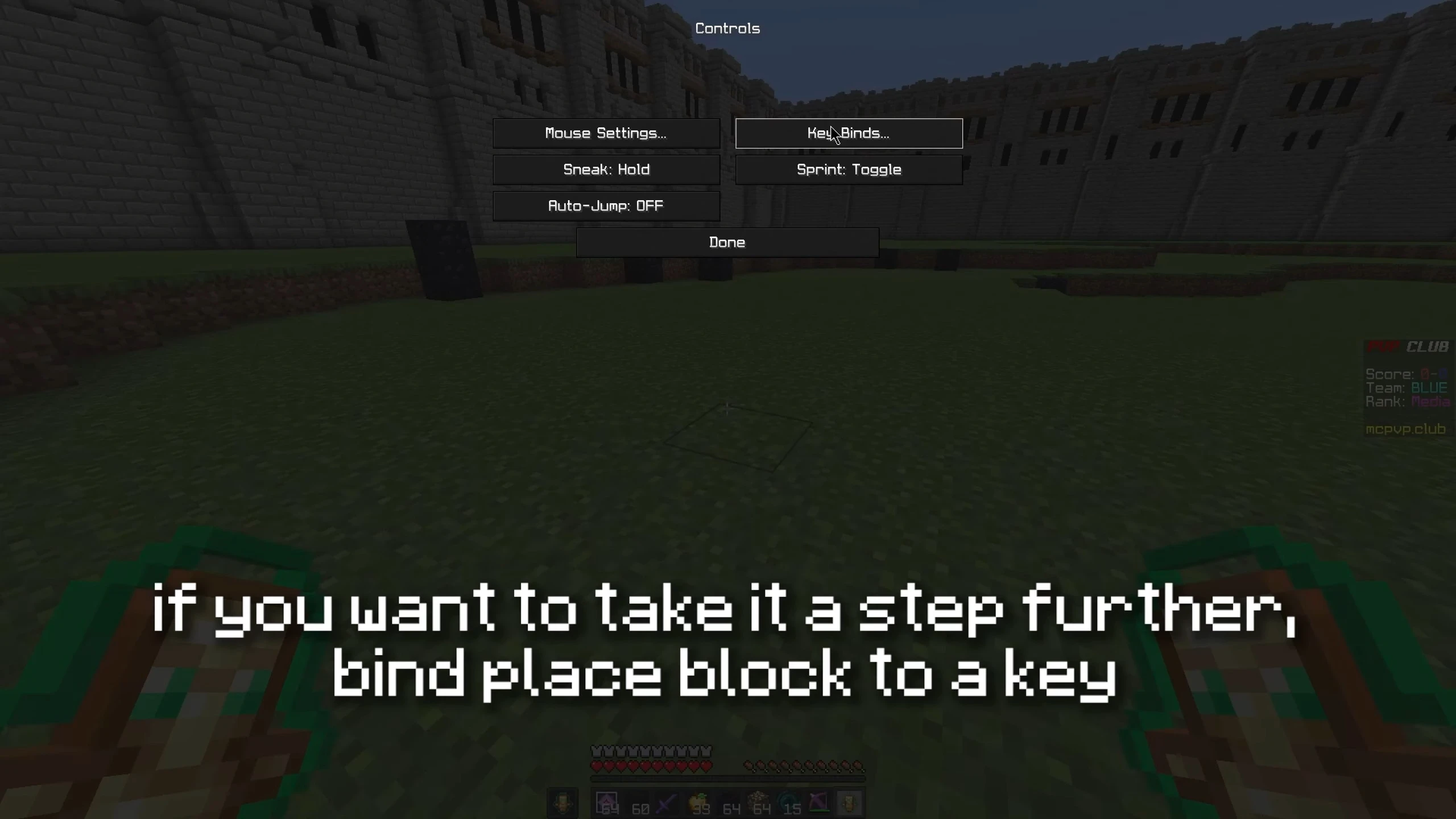 Crystal Optimizer Mod (1.21) – MCPE/Berdrock — screenshot 6
