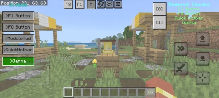 Diamond Tweaks Pack (26.x, 1.21) – Mod Menu, New Buttons — screenshot 2