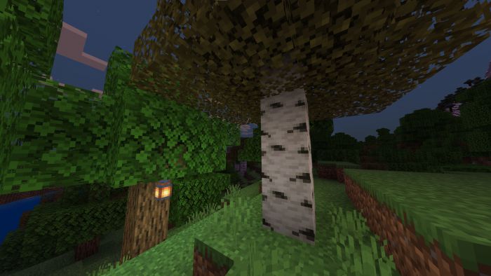 Better Birch Leaves Texture Pack (1.20, 1.19) – MCPE/Bedrock — screenshot 1