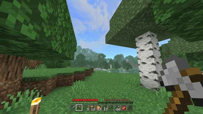 B00G13's Aesthetic Graphic Pack (1.26+) – Support Render Dragon — screenshot 8