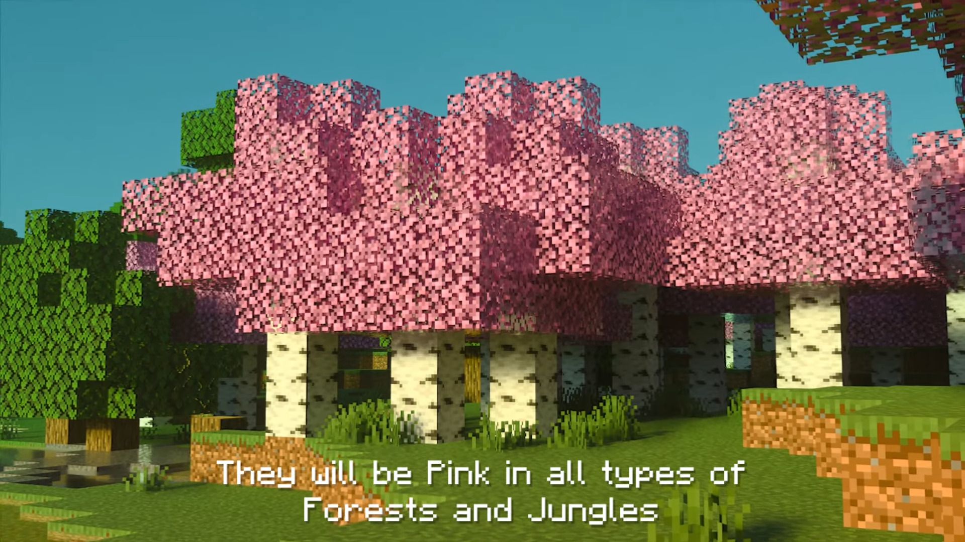 Birch Plus+ Texture Pack (1.20, 1.19) – MCPE/Bedrock — screenshot 7