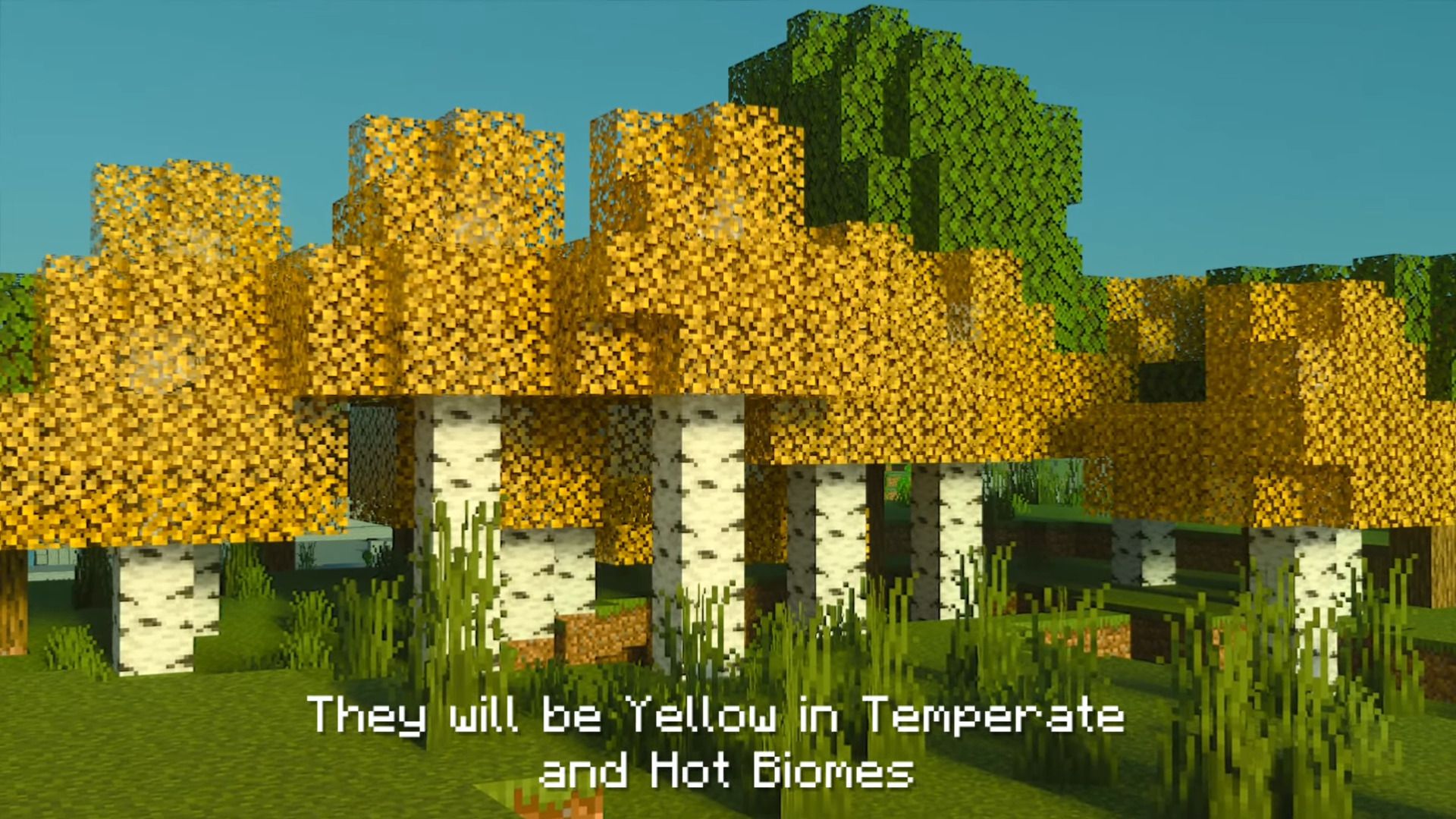 Birch Plus+ Texture Pack (1.20, 1.19) – MCPE/Bedrock — screenshot 8