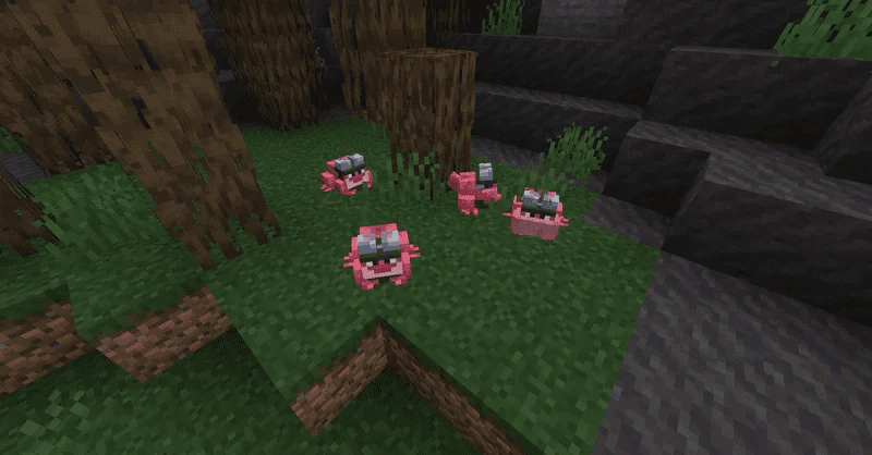 Amphibia Texture Pack (1.26+) – Java/Bedrock — screenshot 3
