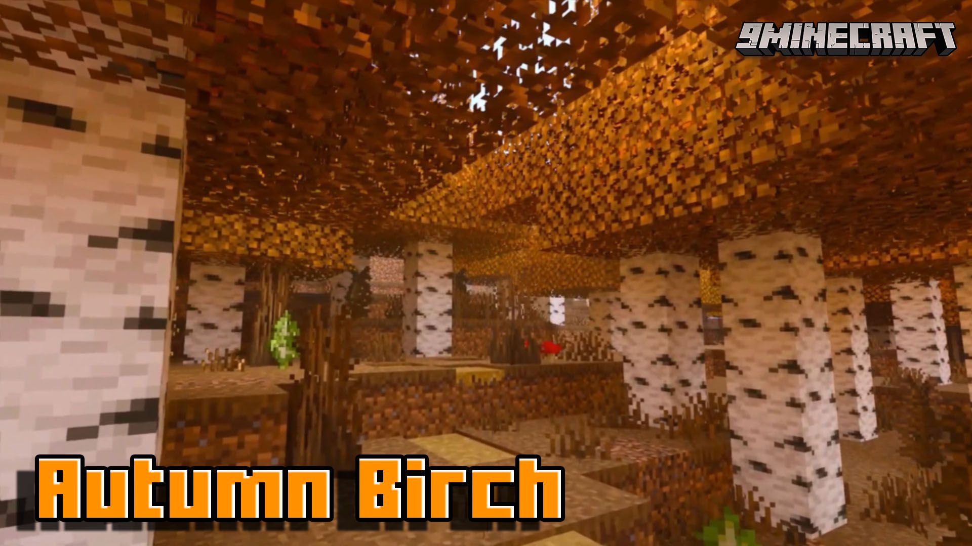 Autumn Birch Texture Pack (1.19) – MCPE/Bedrock