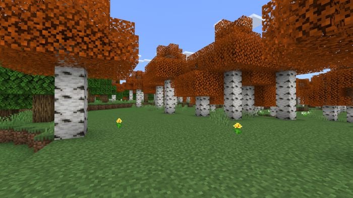 Autumn Birch Texture Pack (1.19) – MCPE/Bedrock — screenshot 1