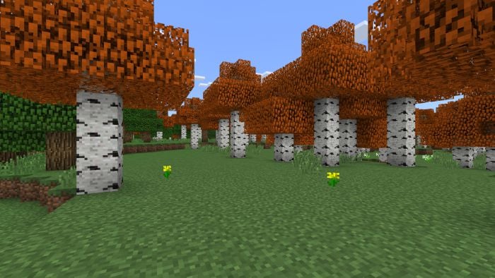 Autumn Birch Texture Pack (1.19) – MCPE/Bedrock — screenshot 2