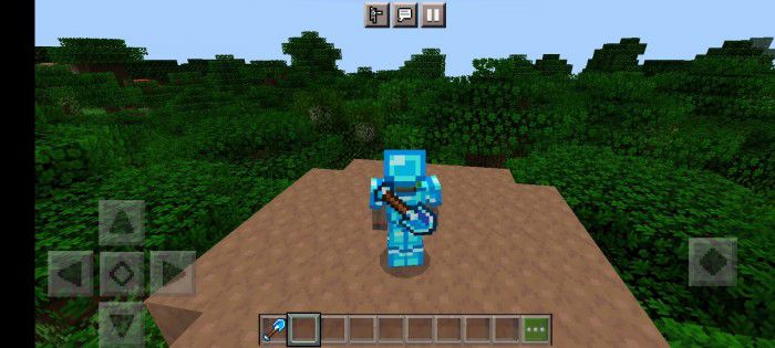 Item On Back Texture Pack (26.x, 1.19) – MCPE/Bedrock Back Tools — screenshot 4