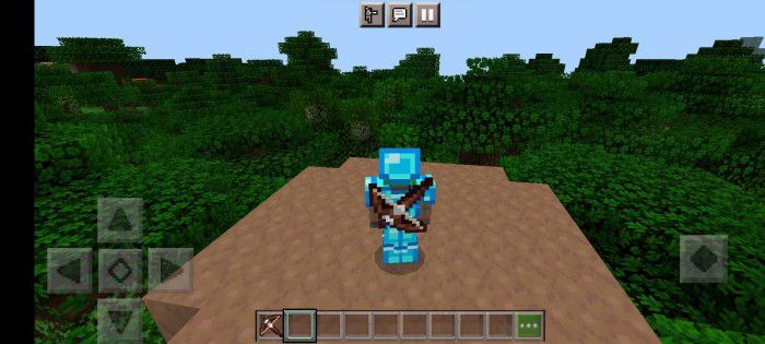 Item On Back Texture Pack (26.x, 1.19) – MCPE/Bedrock Back Tools — screenshot 7