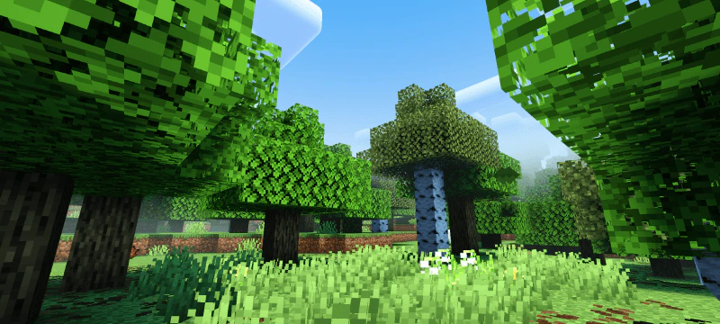 Newb Complementary Reimagined Shader (1.26+) – MCPE/Bedrock — screenshot 6