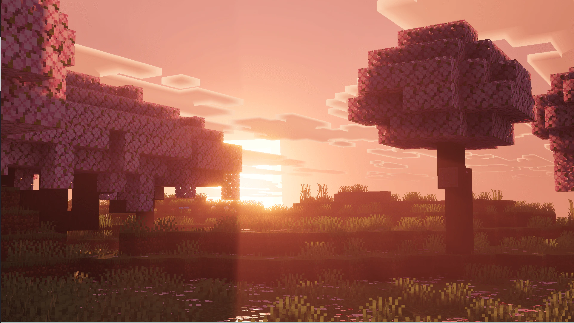 Solace V Shader (1.26+) – MCPE/Bedrock — screenshot 4