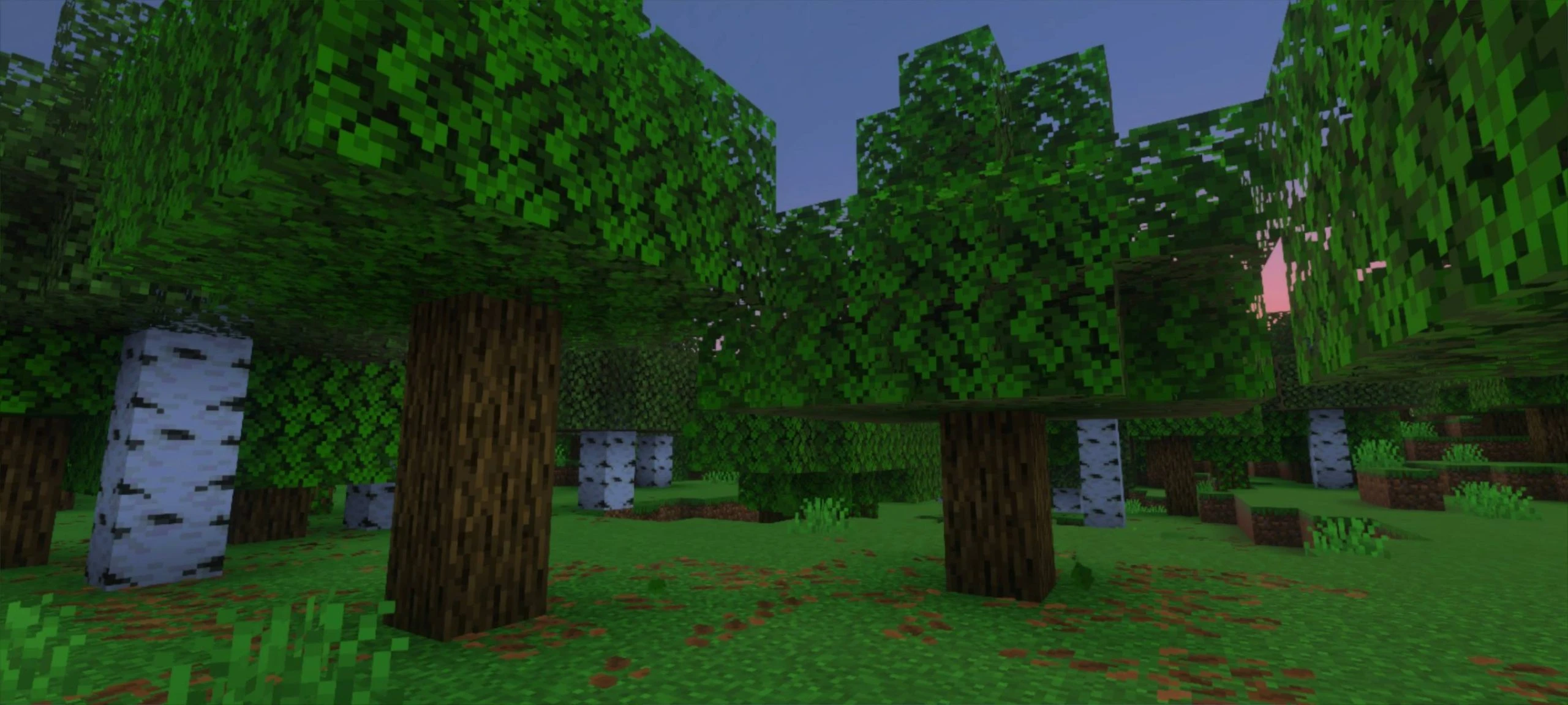 Dynamic View Shader (1.26+) – MCPE/Bedrock — screenshot 2