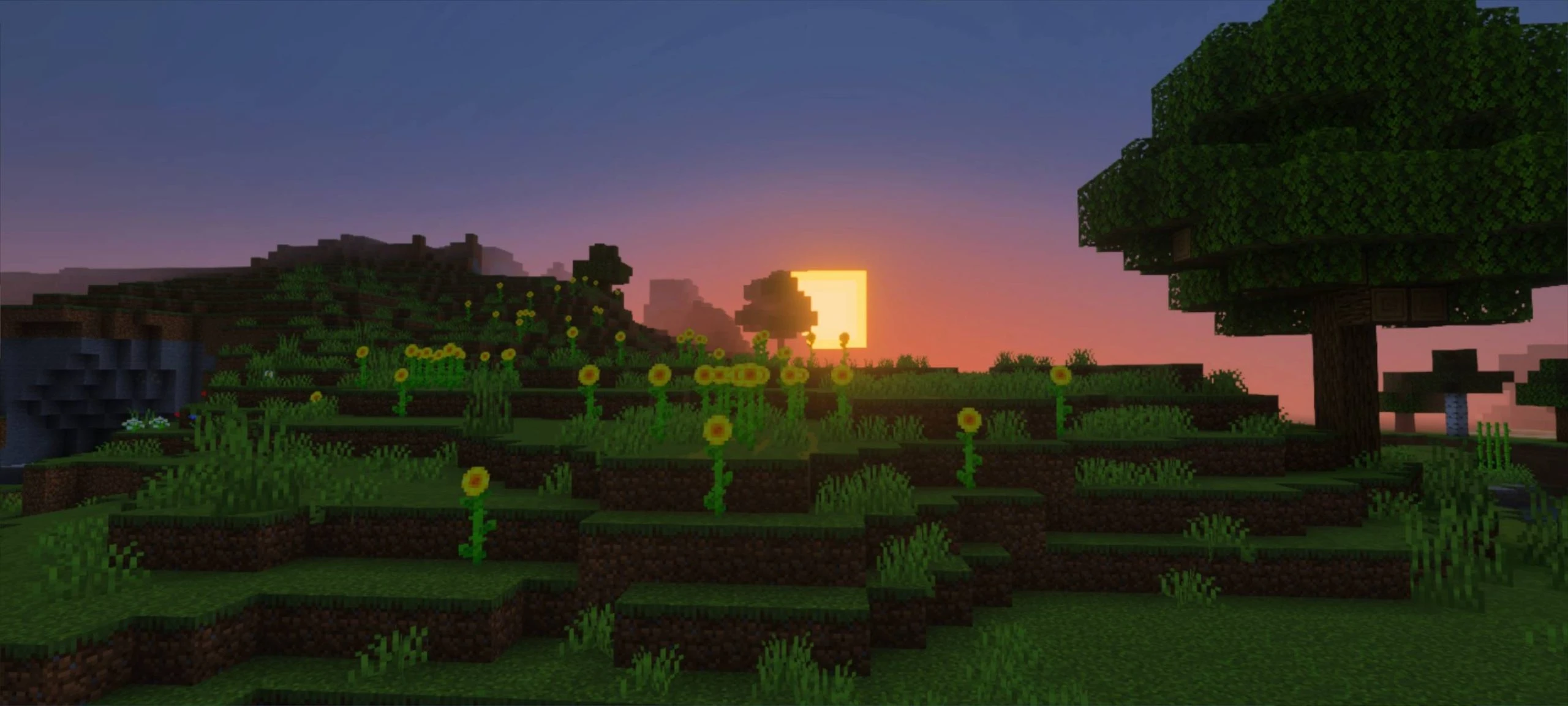 Dynamic View Shader (1.26+) – MCPE/Bedrock — screenshot 3