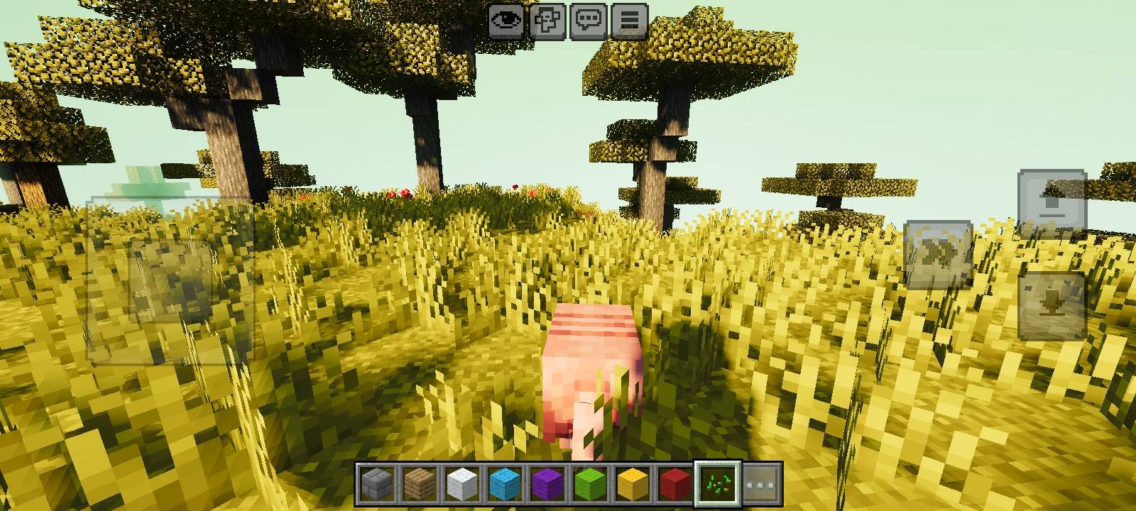 Natural Visual Shader (1.26+) – MCPE/Bedrock — screenshot 6