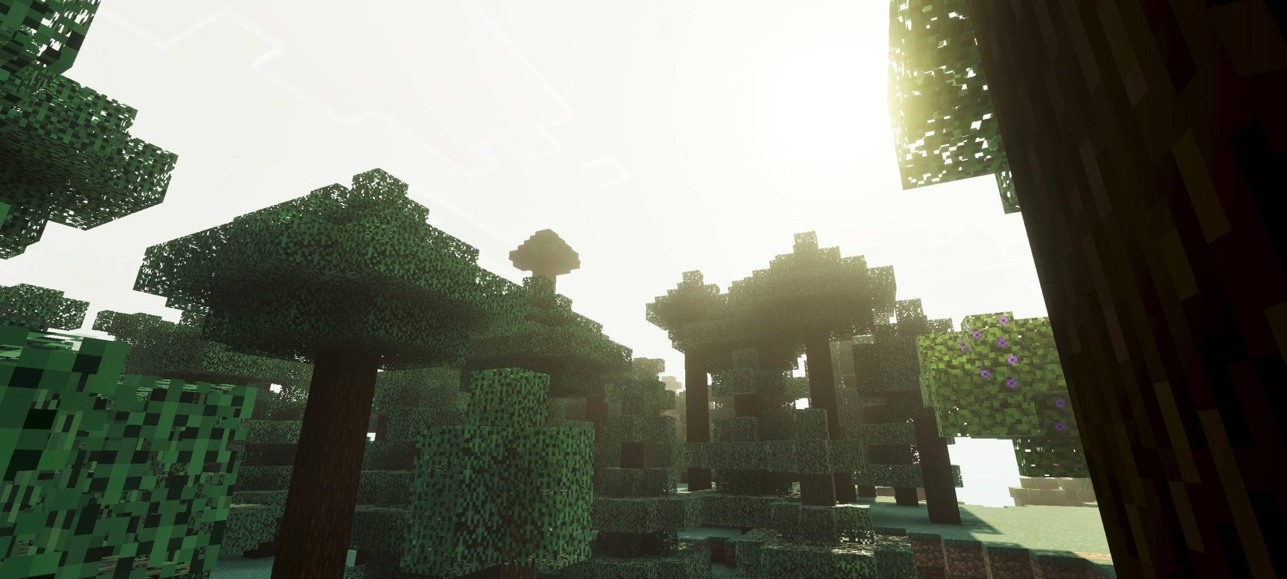Flora Visual Shader (1.26+) – MCPE/Bedrock — screenshot 3