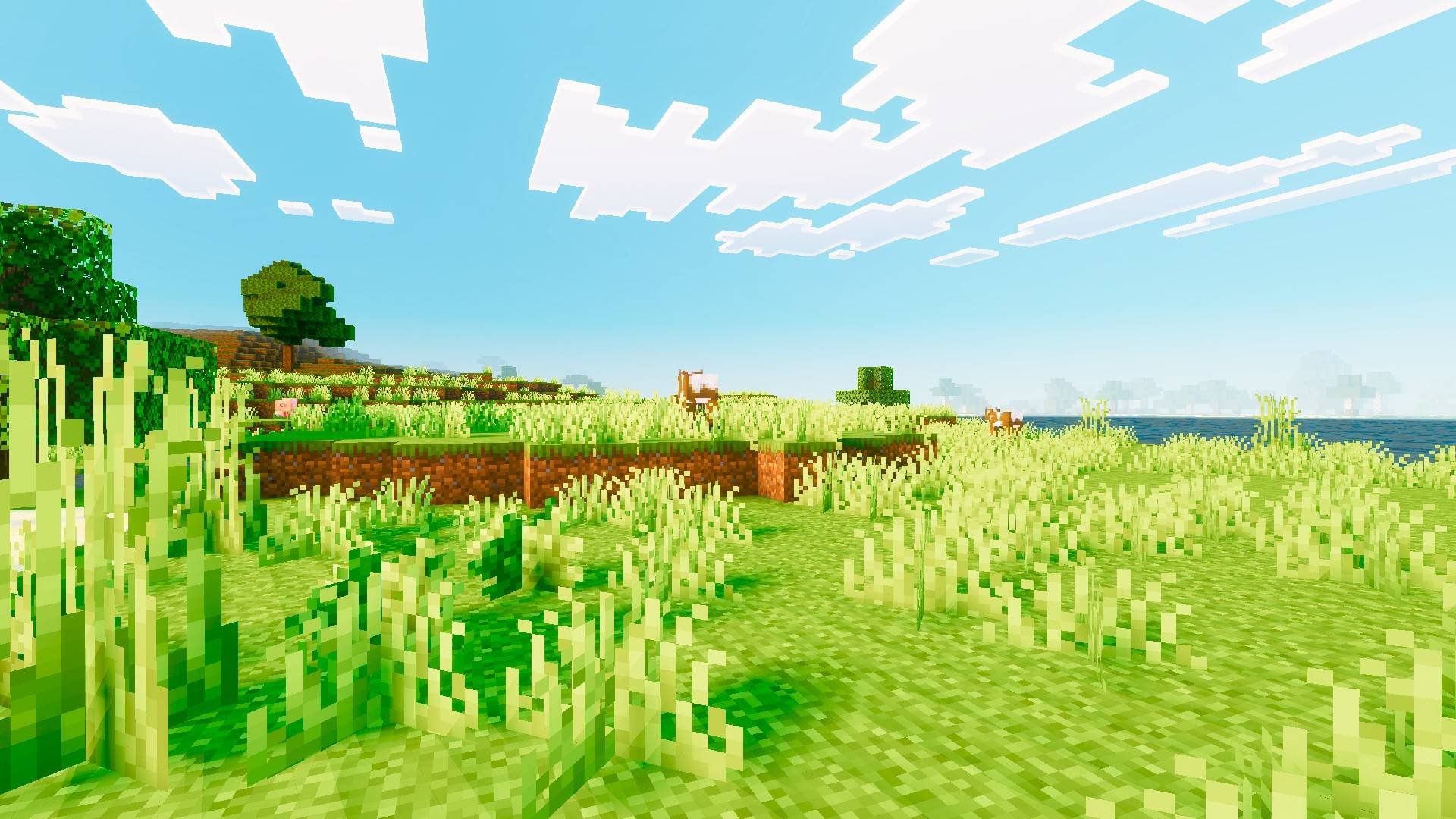 Mera Vibrant Shader (1.26+) – MCPE/Bedrock — screenshot 2