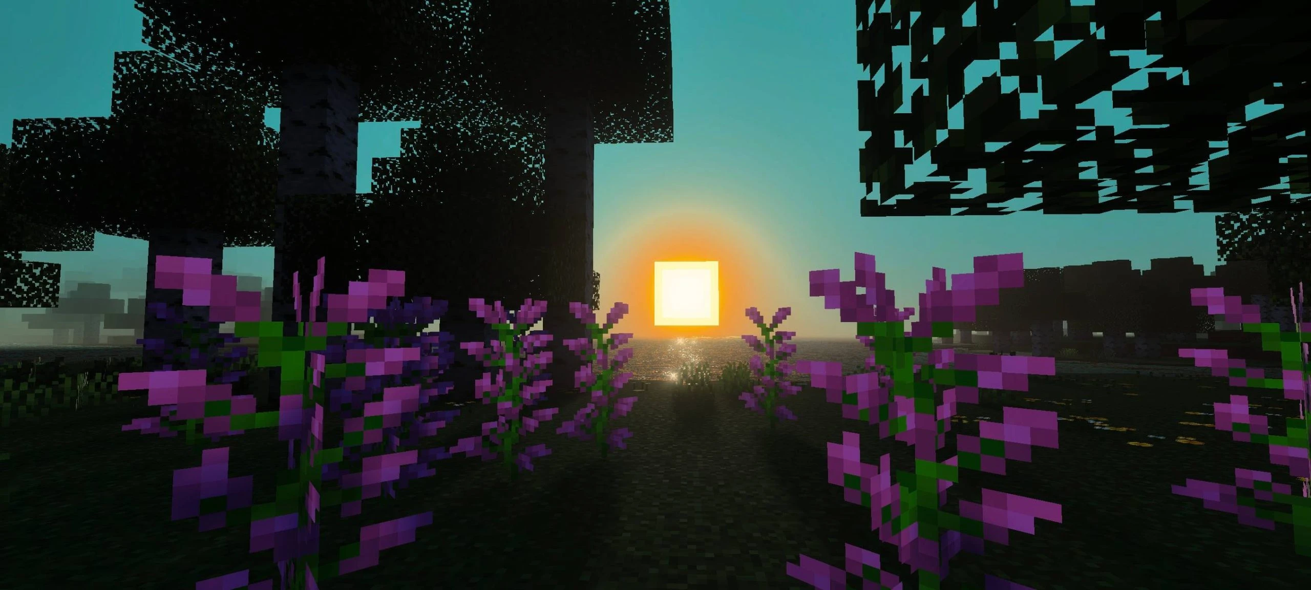 Dynamic Shader (1.21+) – MCPE/Bedrock — screenshot 3