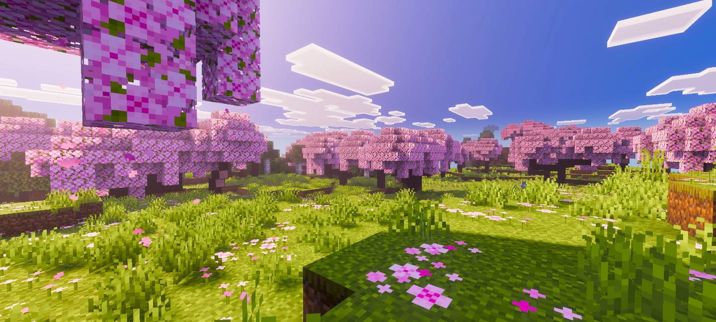 Relta Visuals Shader (1.21+) – MCPE/Bedrock — screenshot 2