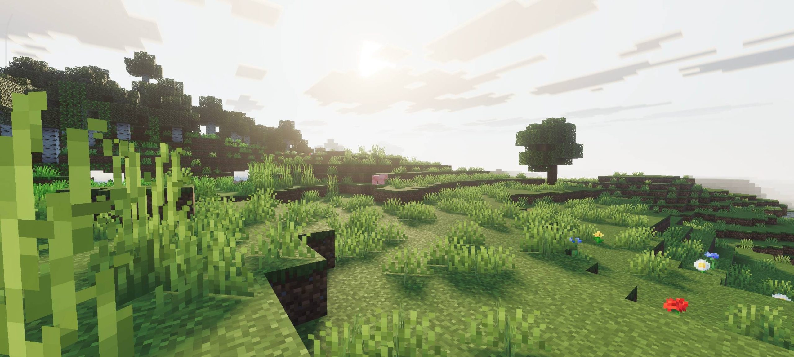 Zen Visuals Shader (1.21+) – MCPE/Bedrock — screenshot 7