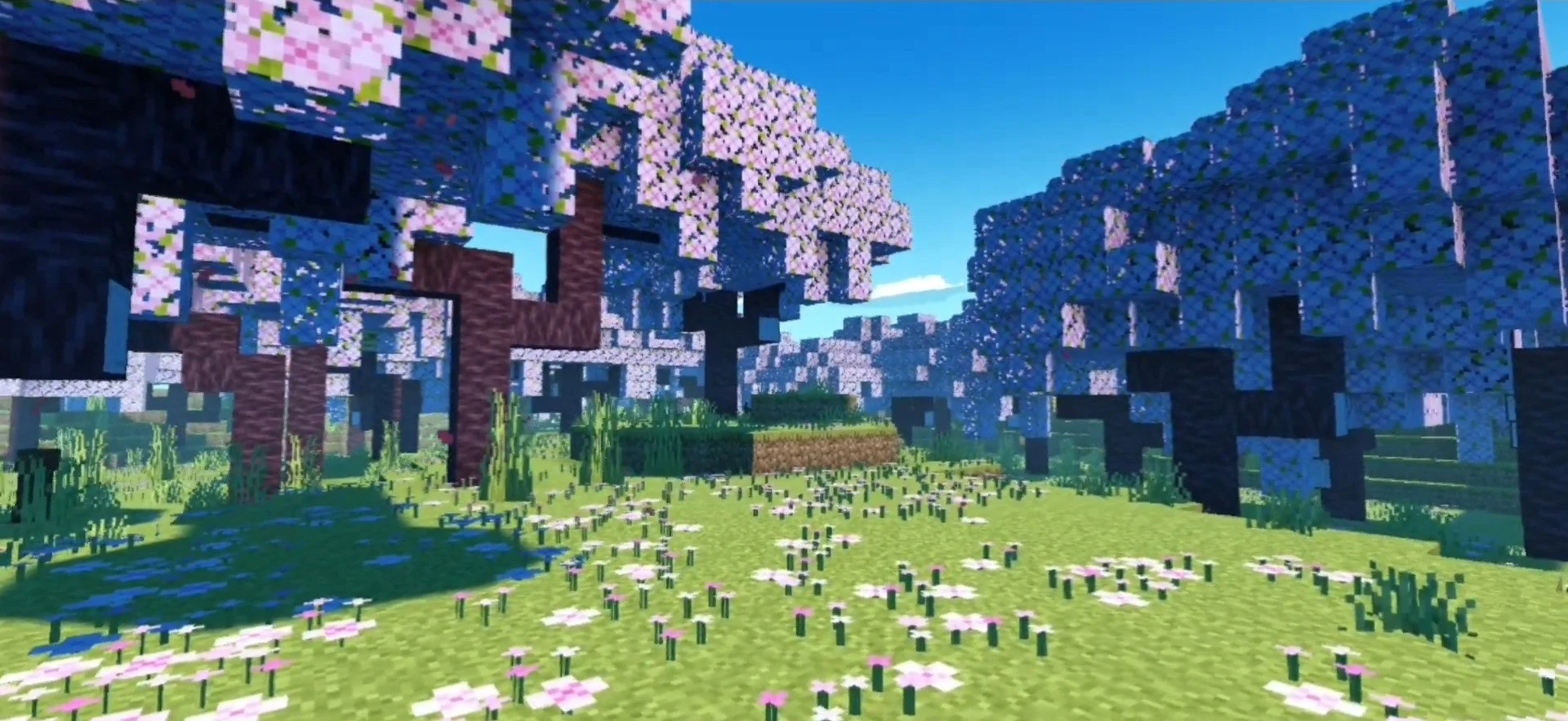 ZiNi Shader (1.21+) – MCPE/Bedrock — screenshot 7