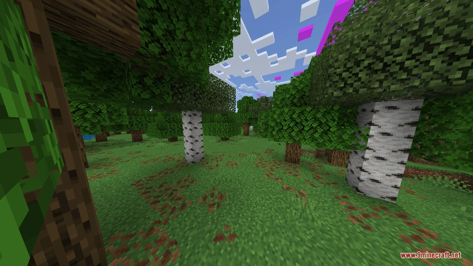 Newb X Unwind Shader (1.21.20+) – MCPE/Bedrock — screenshot 2