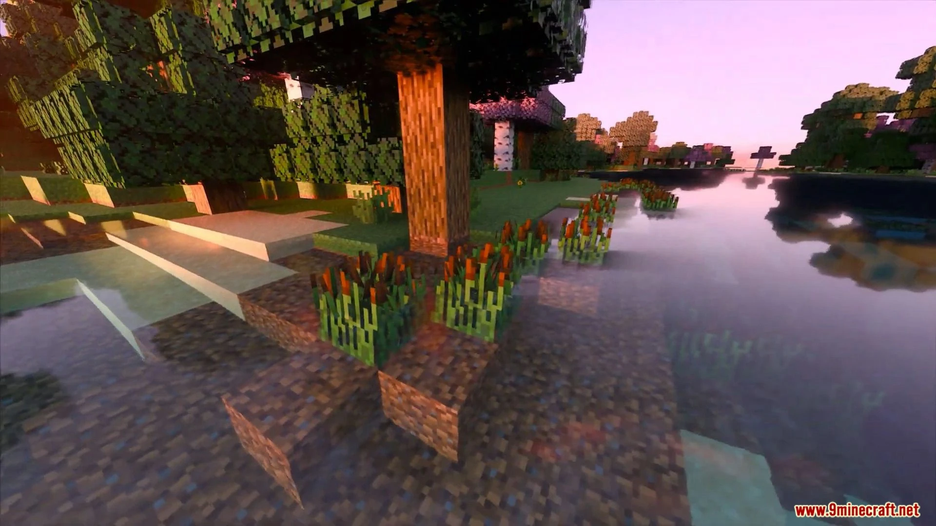 Lumen RTX Shaders (1.26+) – Shaders for Nvidia Ray-Tracing GPU — screenshot 3