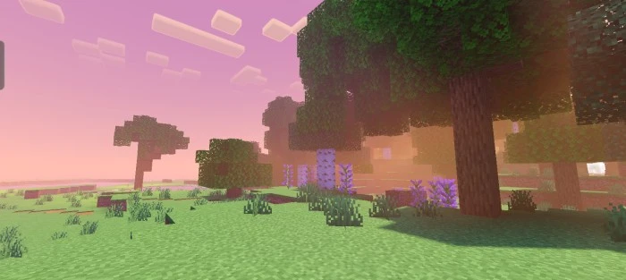 Newb X Shadow Shader (1.21+) – MCPE/Bedrock — screenshot 2