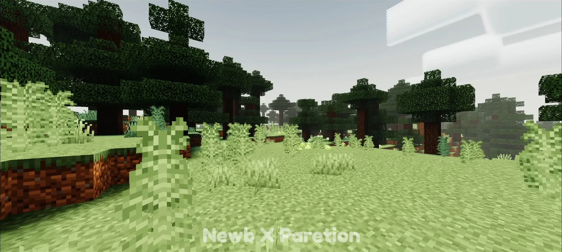NewB X Paretion Shader (1.26+) – Low-End Device, RenderDragon — screenshot 4