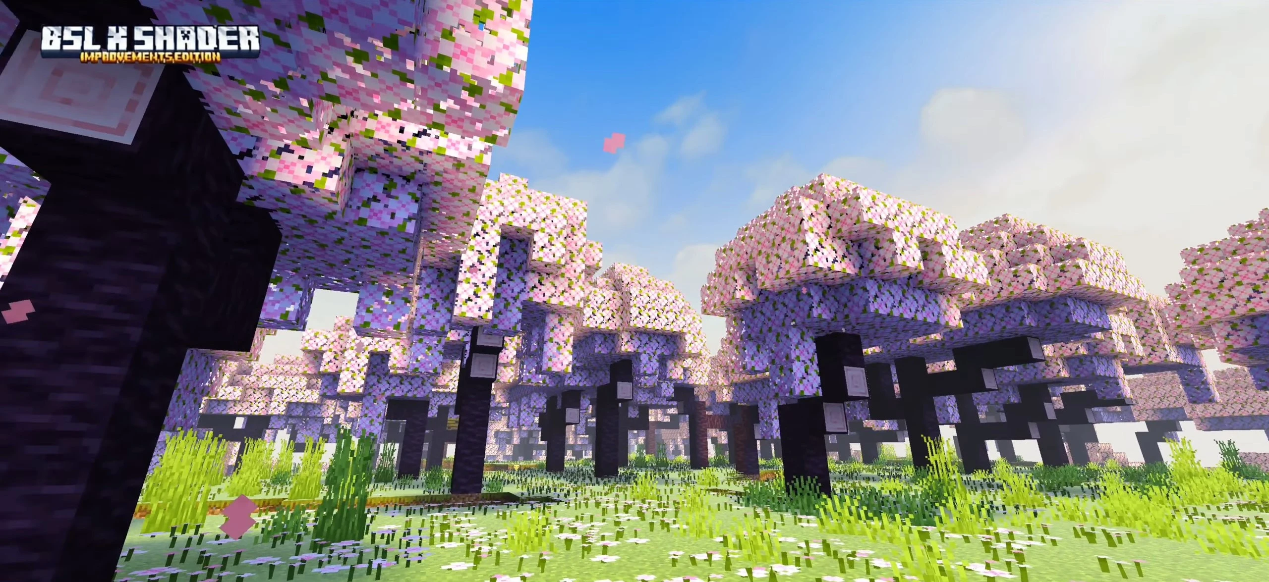 BSL X Improvement Shader (1.21.31+) – MCPE/Bedrock — screenshot 8