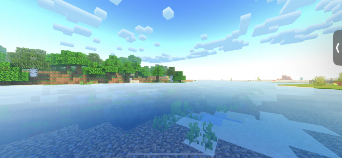 Newb X NoRH Shader (1.21+) – Support BetterRenderDragon — screenshot 4