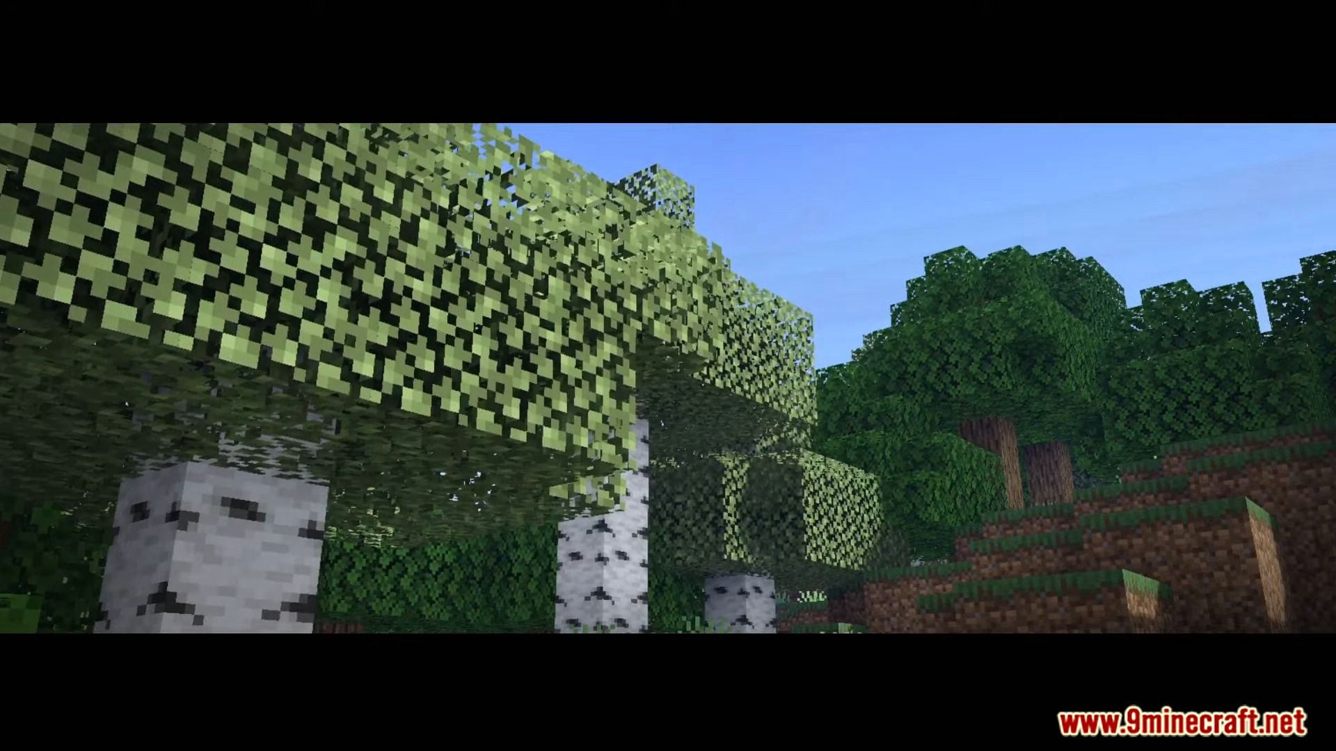 Continuum Shader (1.21, 1.20) – Support Render Dragon — screenshot 2
