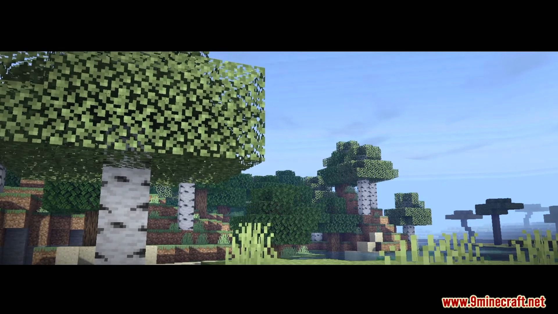 Continuum Shader (1.21, 1.20) – Support Render Dragon — screenshot 5