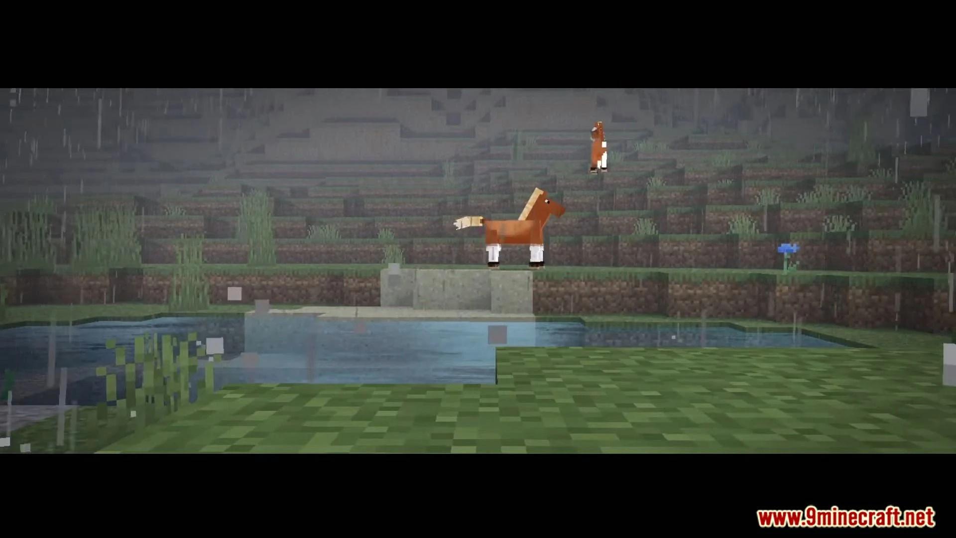 Continuum Shader (1.21, 1.20) – Support Render Dragon — screenshot 7