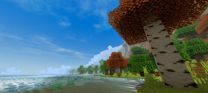 DGR Shader Official Edition (1.26+) – Faithful Shaders for Render Dragon — screenshot 3