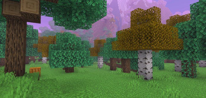 HyRD Enhanced Graphics Shader (1.26+) – RenderDragon — screenshot 3