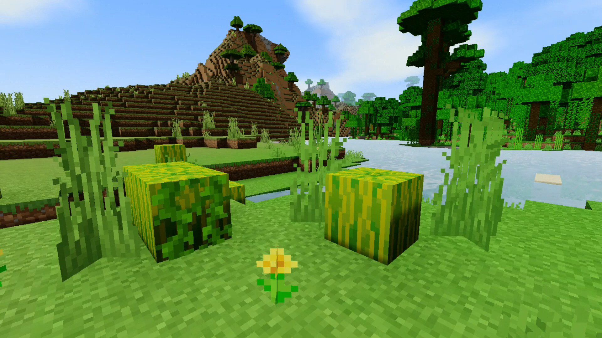 ESBE 3G Shader (1.19) – Mobile/PC/Low-End Devices — screenshot 2