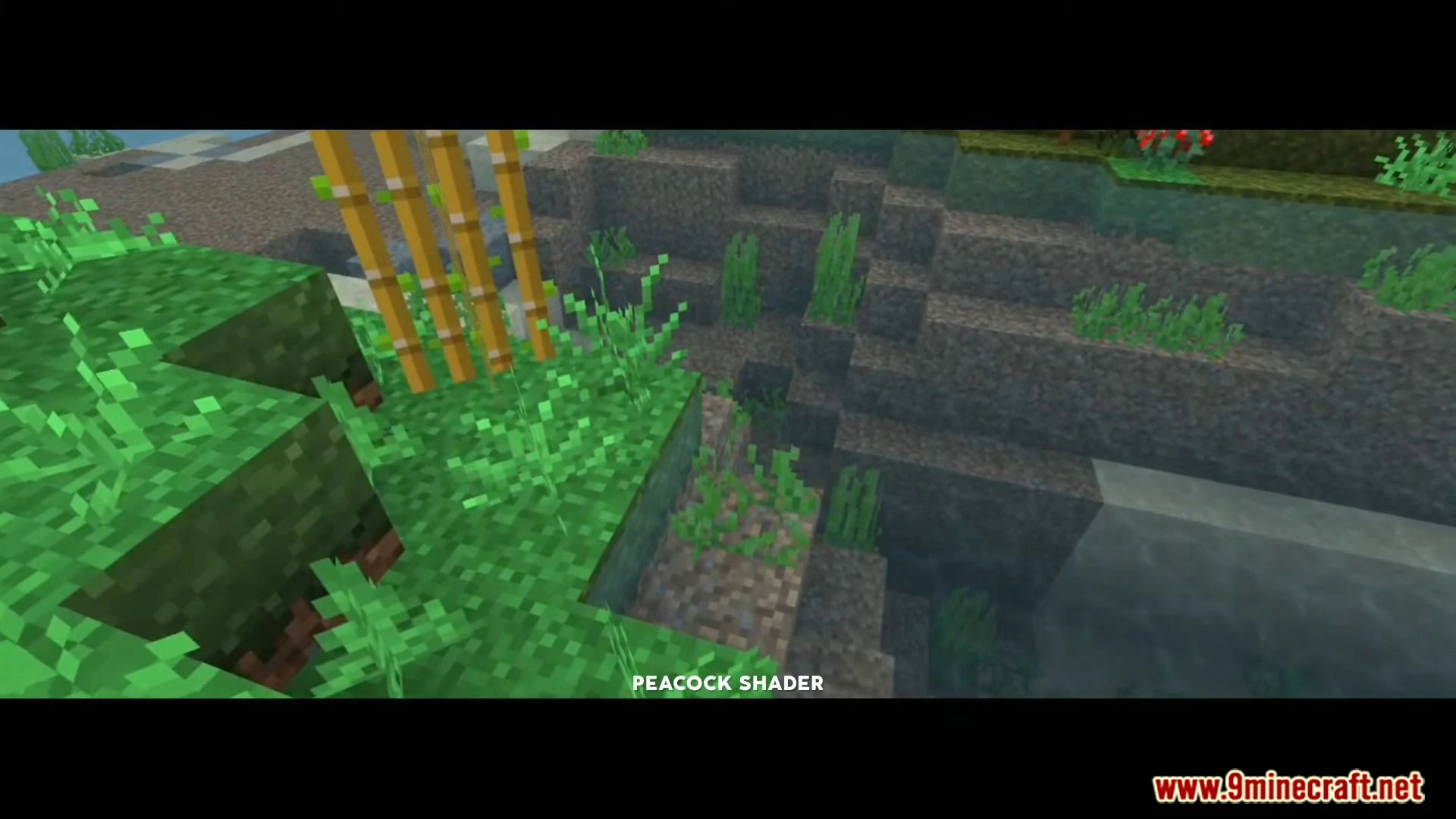 Peacock Shader (1.26+) – Aesthetic Shaders for Render Dragon — screenshot 2