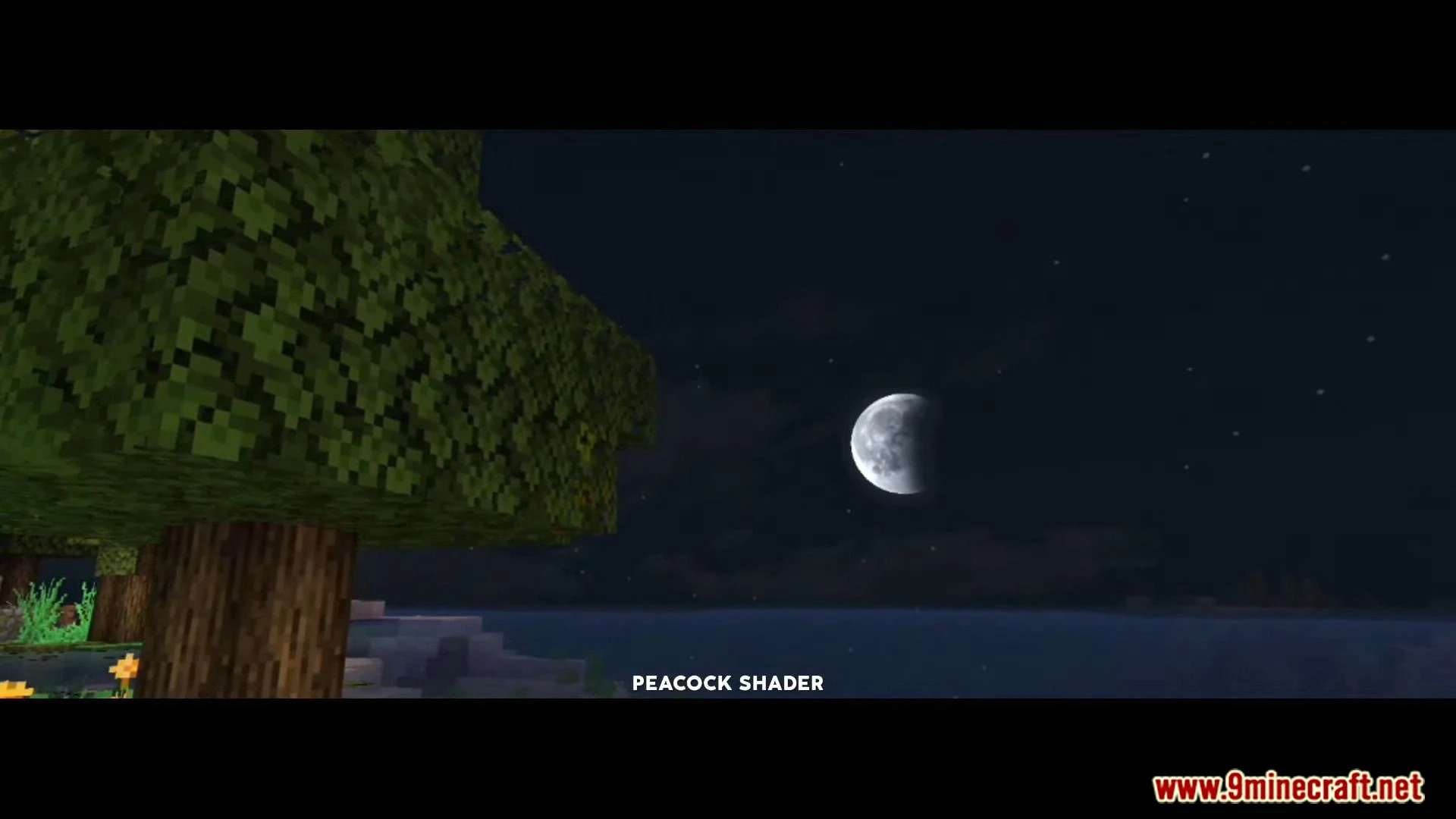 Peacock Shader (1.26+) – Aesthetic Shaders for Render Dragon — screenshot 5