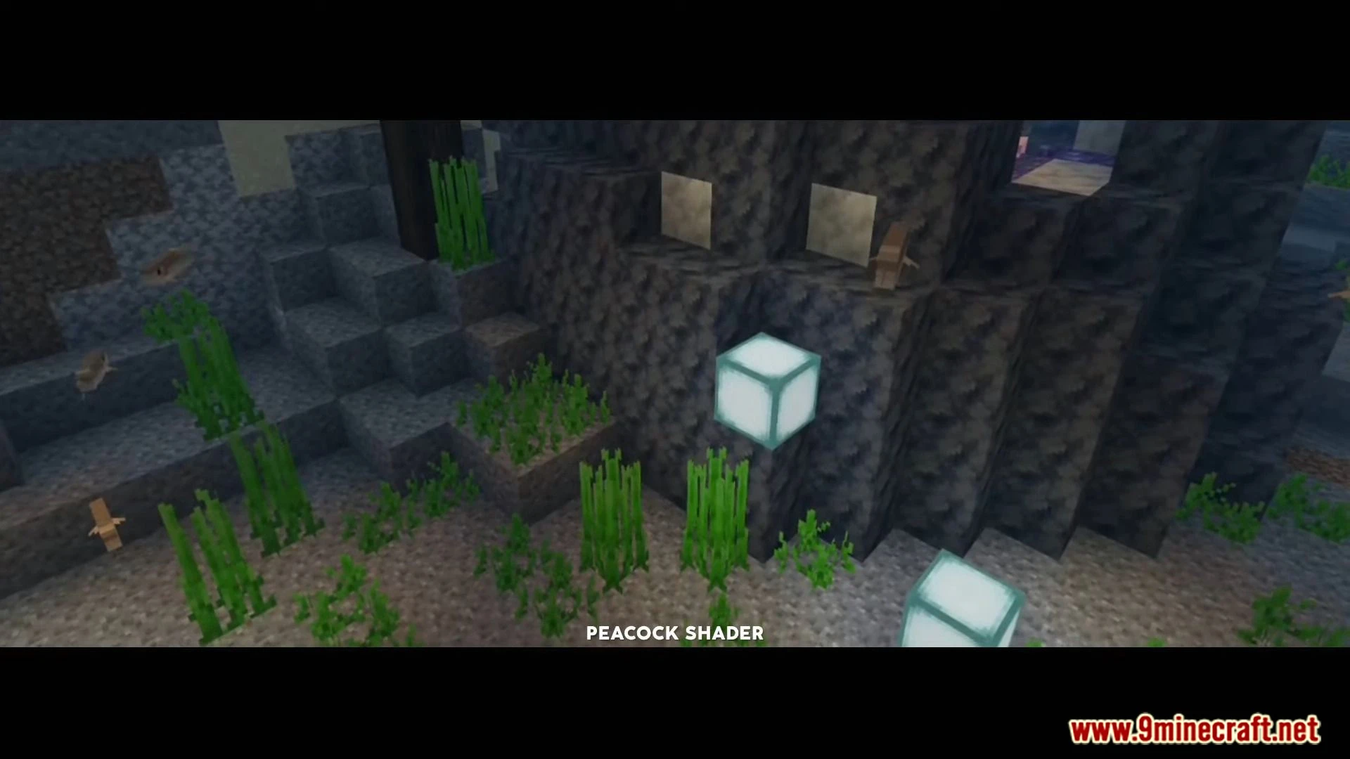 Peacock Shader (1.26+) – Aesthetic Shaders for Render Dragon — screenshot 6