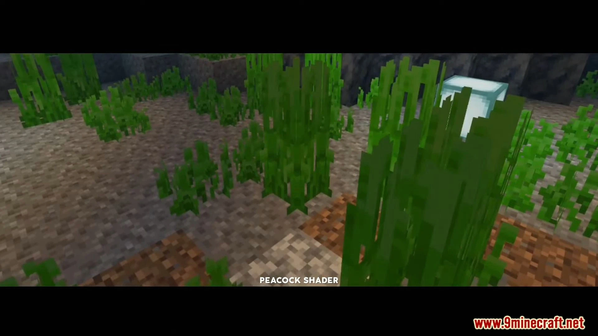 Peacock Shader (1.26+) – Aesthetic Shaders for Render Dragon — screenshot 7