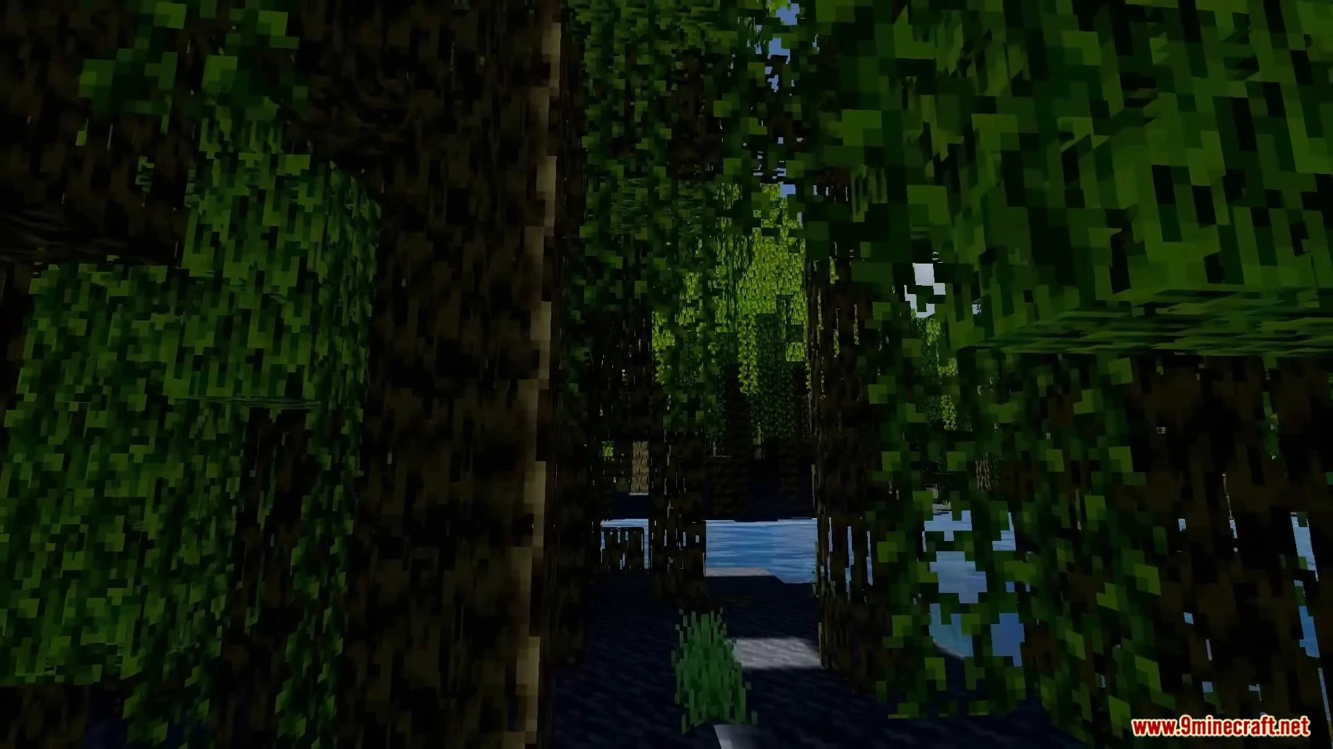 Musk Rose Shader (1.19, 1.18) – Ultra Shaders for Render Dragon — screenshot 6