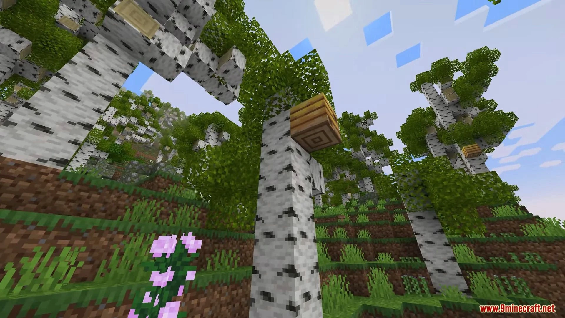 yBiomesCraft Addon (1.19, 1.18) – MCPE/Bedrock Mod — screenshot 7