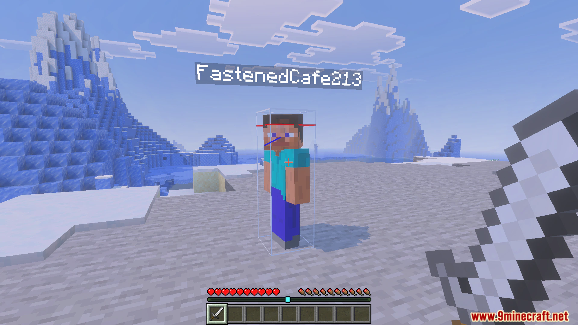 Combat Hitboxes Texture Pack (26.x) – Clear Wireframe Outlines For PvP Combat — screenshot 4