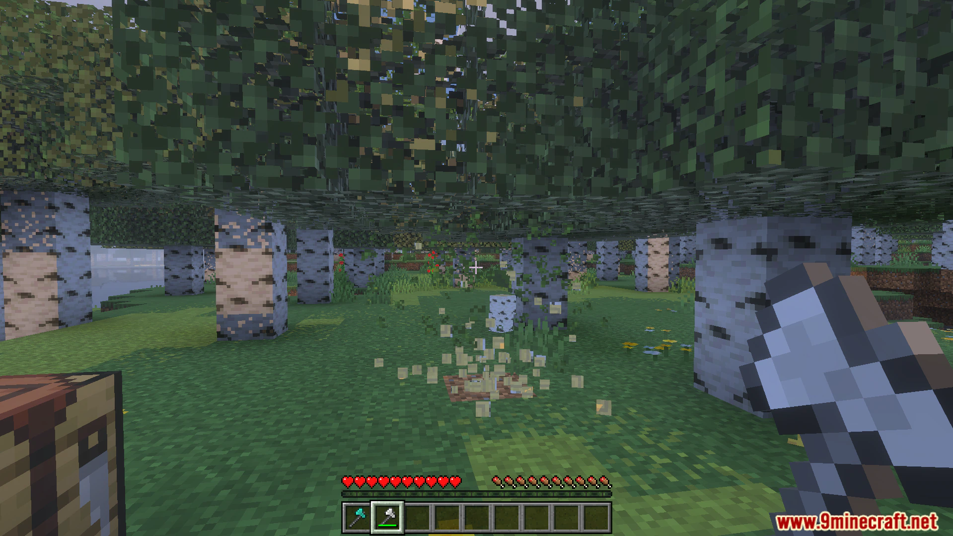 Better Tree Capitator Addon (26.x, 1.21) – Harvest Entire Trees With A Single Swing — screenshot 6