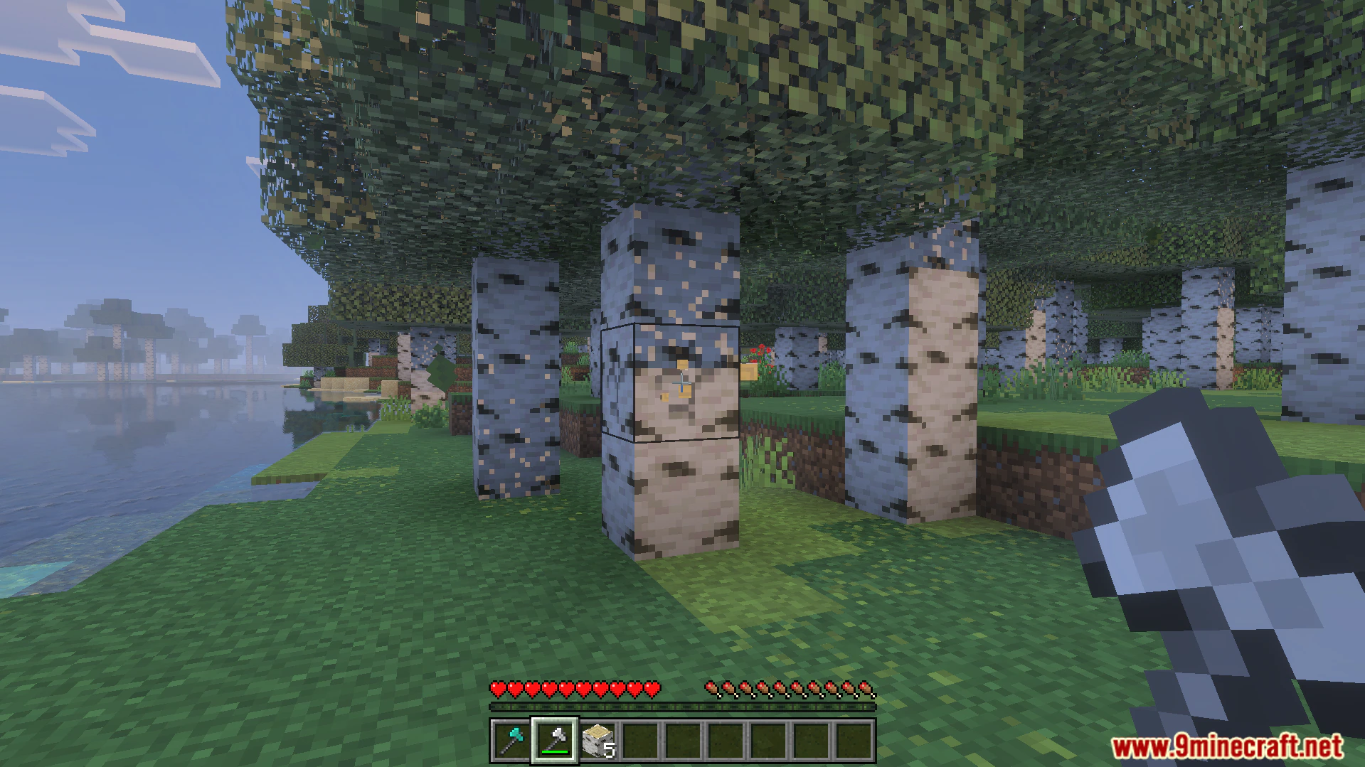 Better Tree Capitator Addon (26.x, 1.21) – Harvest Entire Trees With A Single Swing — screenshot 7