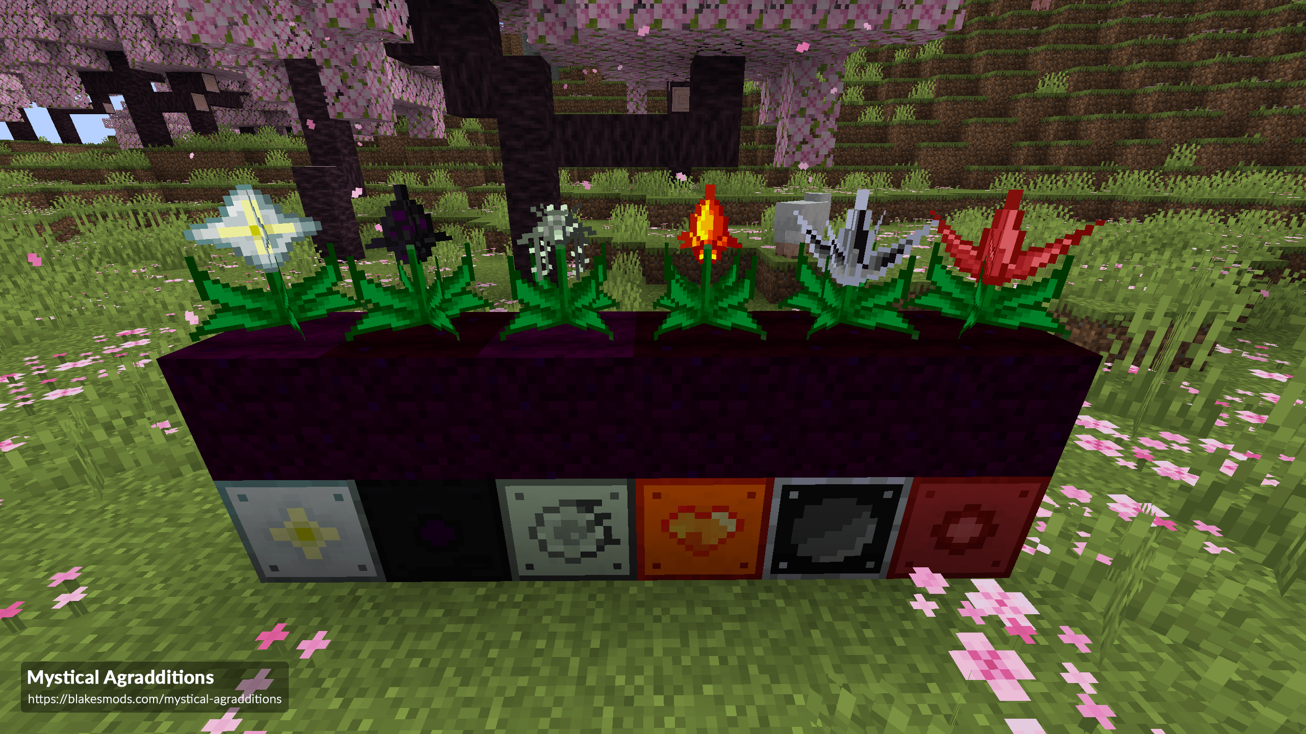 Mystical Agradditions — screenshot 2