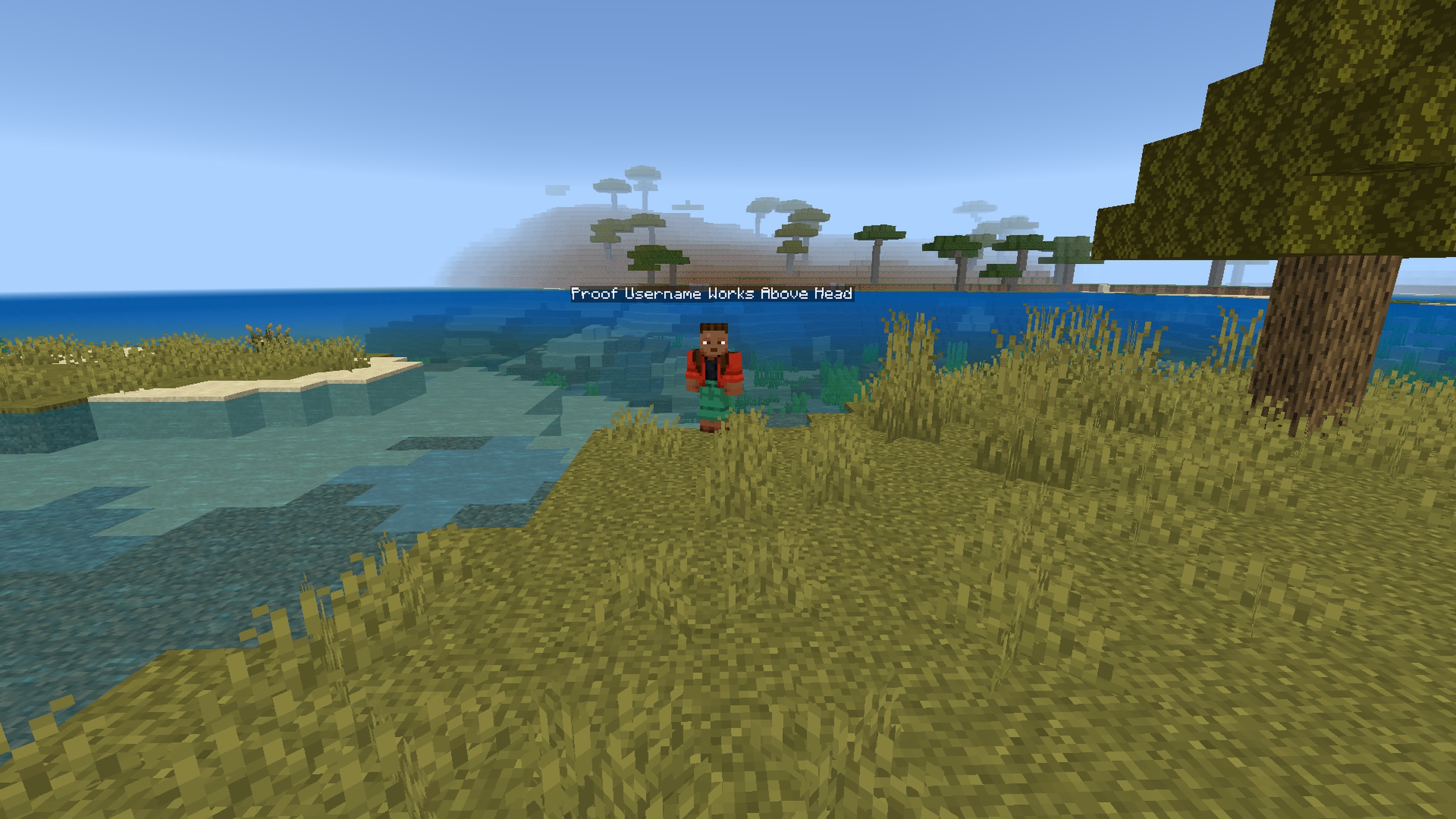 Custom Nick Addon v5.38 — screenshot 1