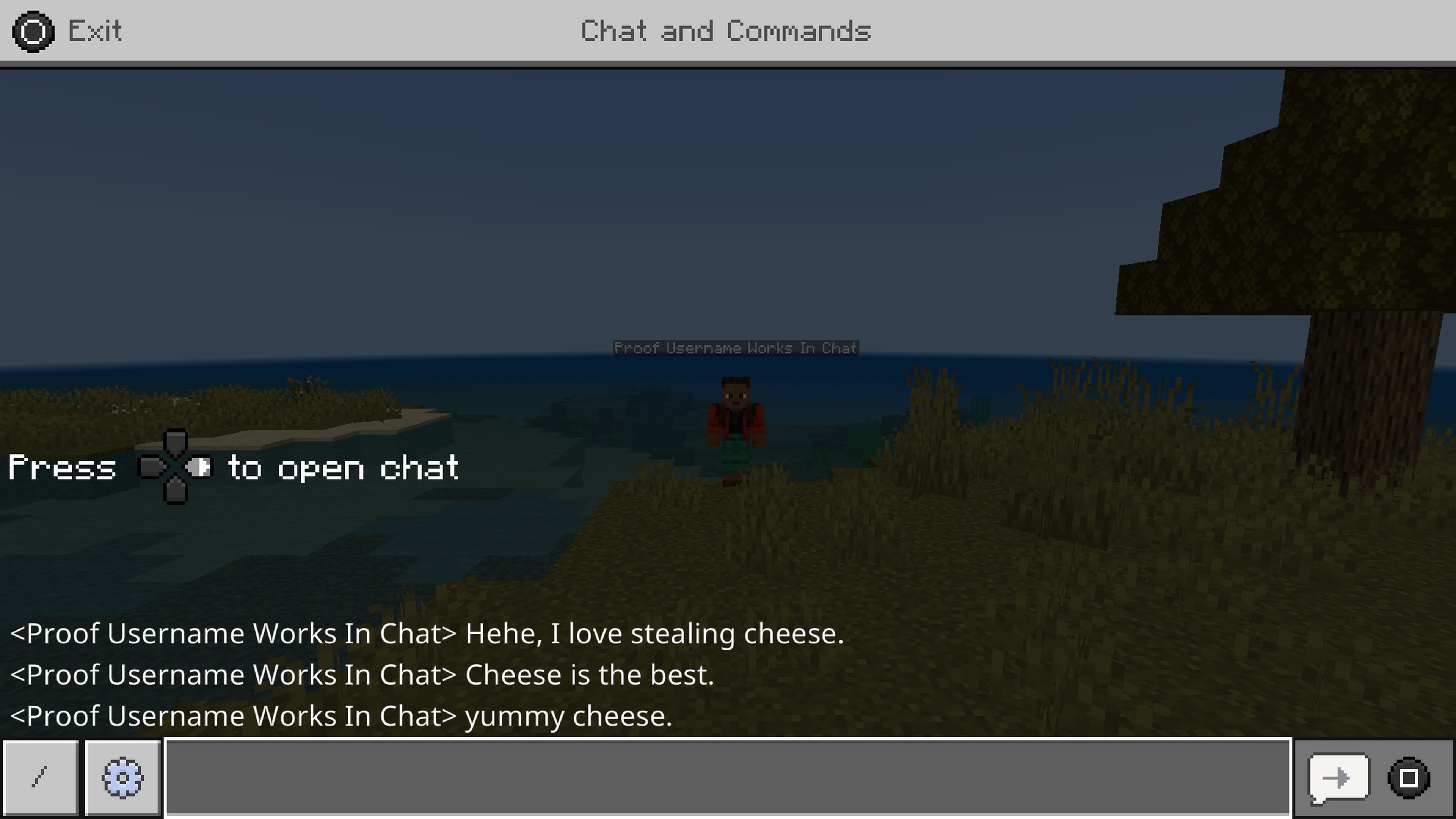 Custom Nick Addon v5.38 — screenshot 2