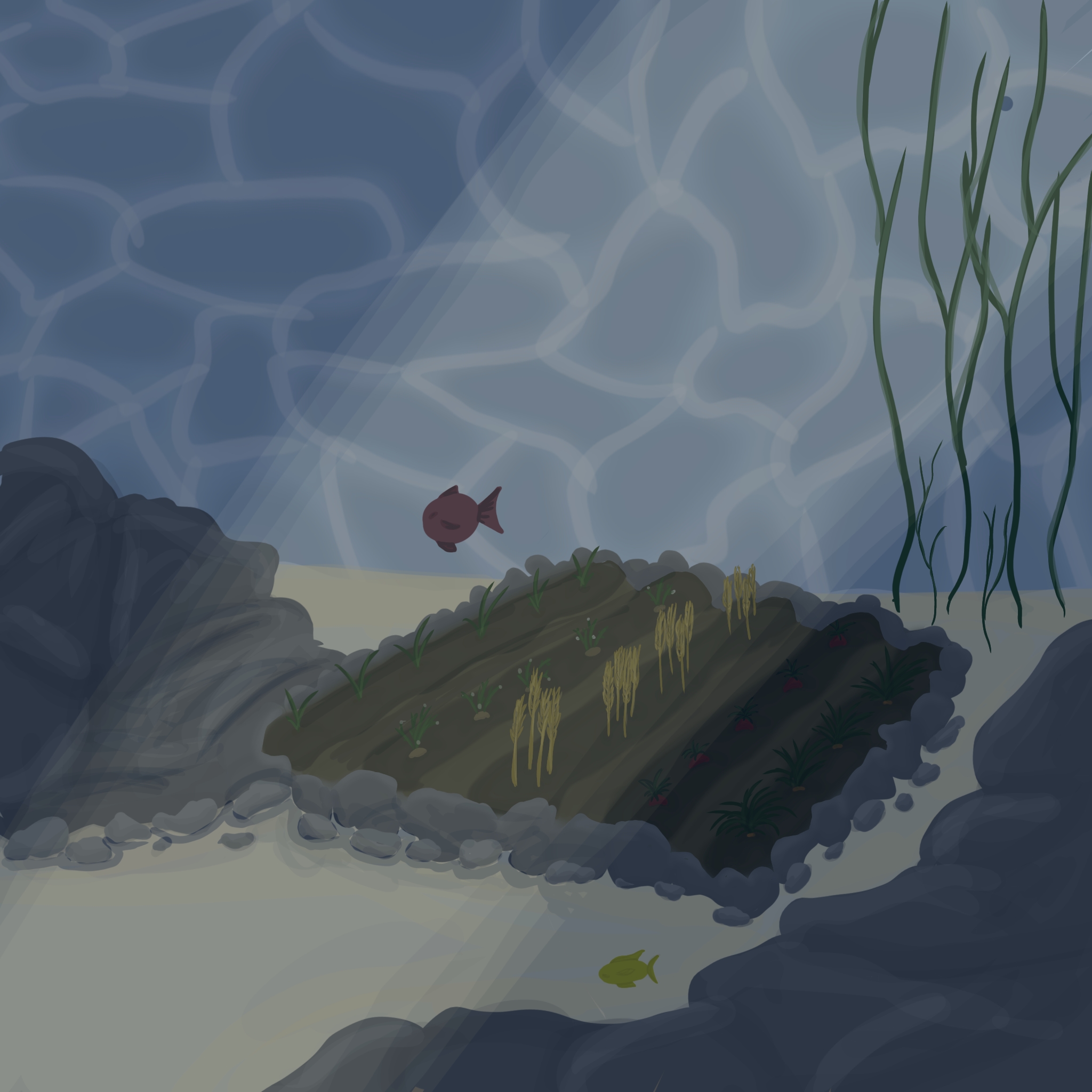 Crops Need Water