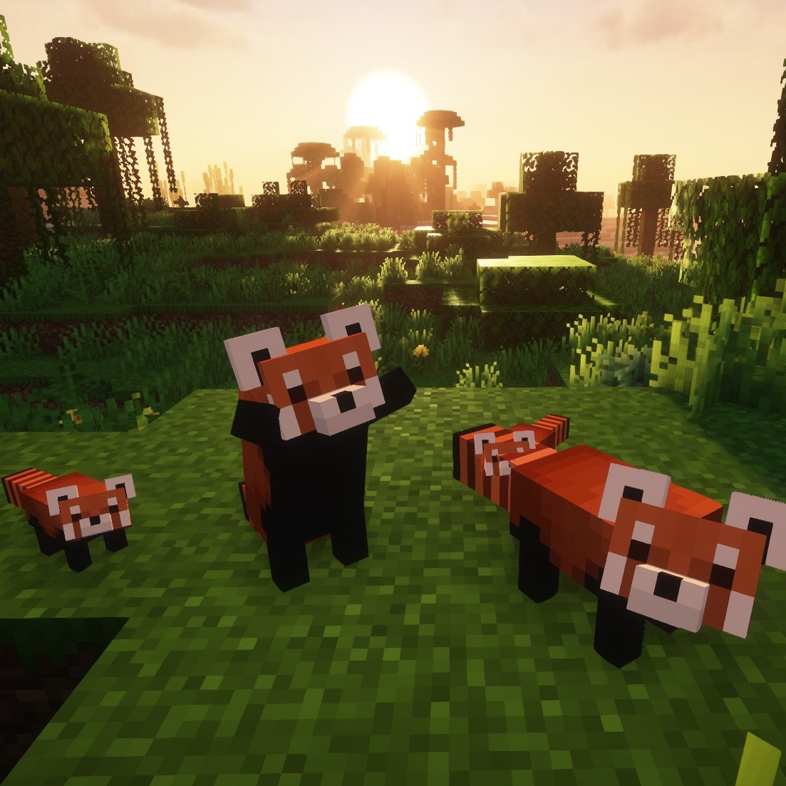 YDM's Red Panda