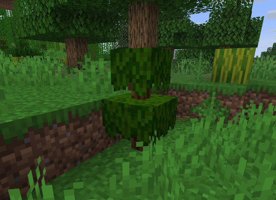 Mama's Herbs and Harvest — screenshot 4